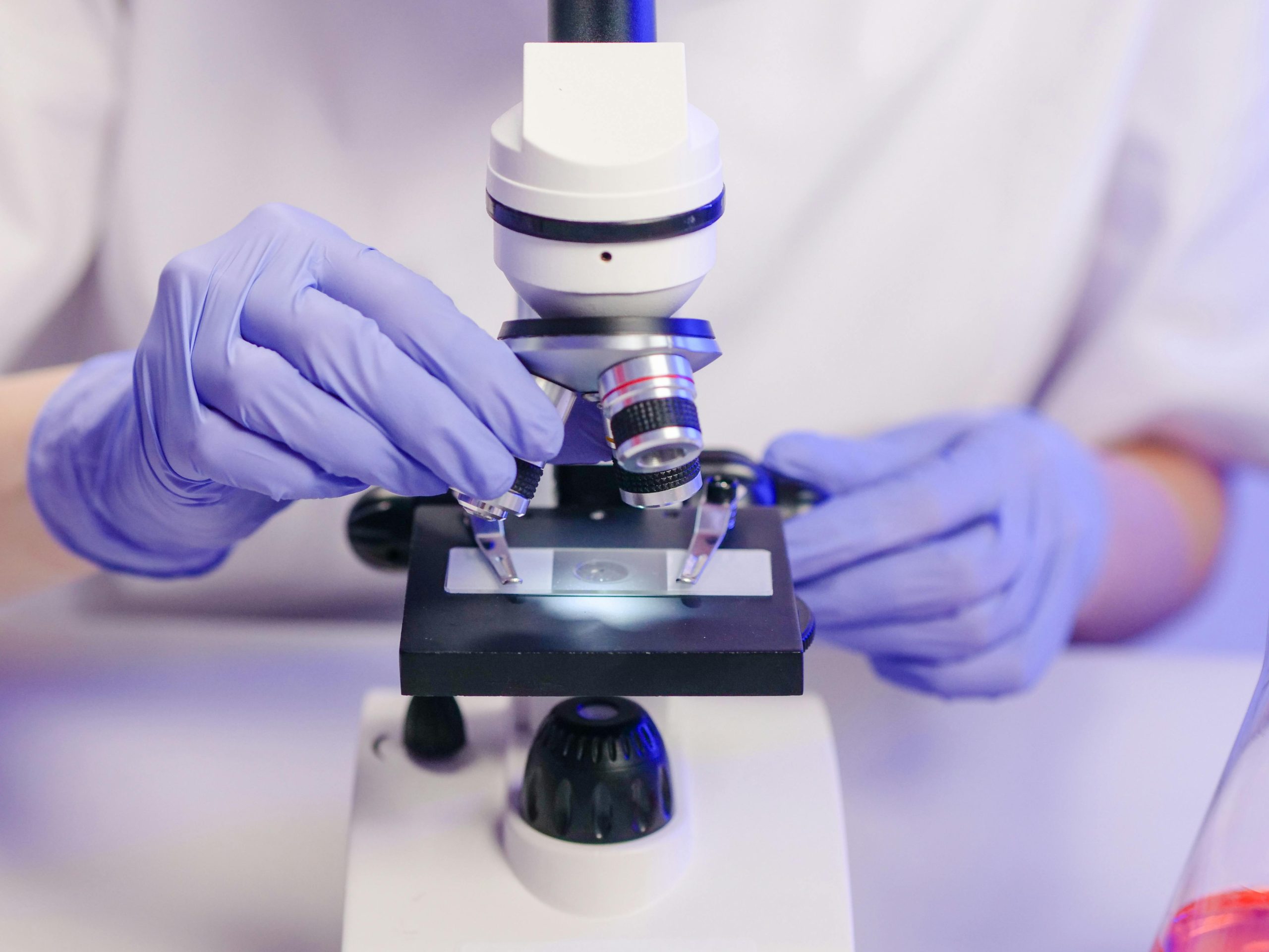 Como os Exames Laboratoriais Contribuem para o Controle da Dengue no Brasil