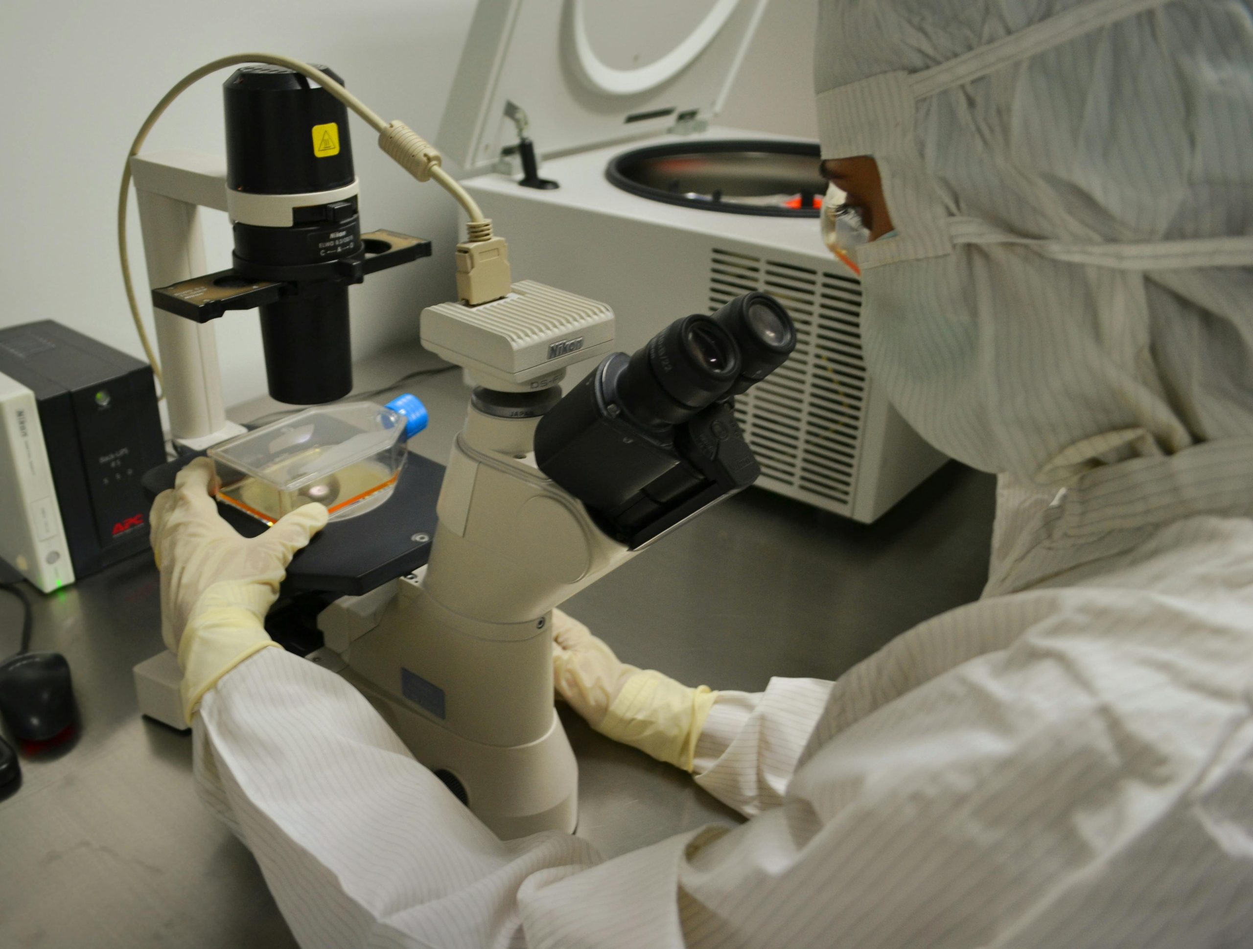 O Papel das Análises Clínicas na Identificação Rápida da Influenza